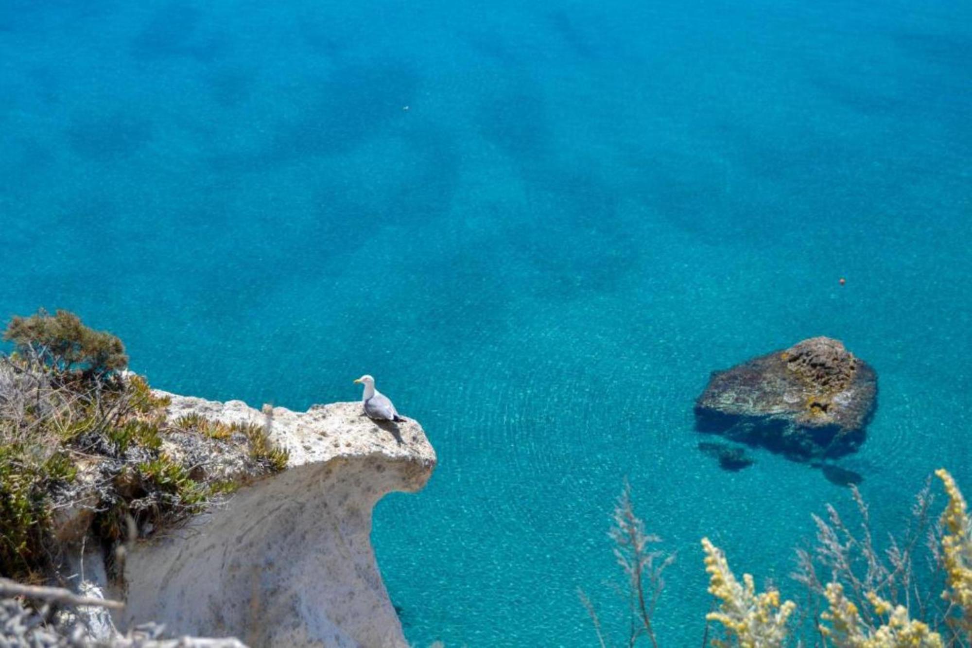 Maridea - Cave Apartments Ponza Dış mekan fotoğraf